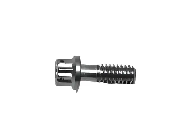 Wilwood Stainless Steel Rotor Bolt - 12pt 1/4-20 X .75 L