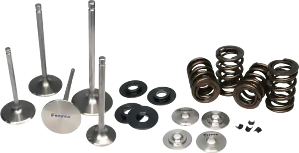 Ferrea Mitsubishi Evo X 4B11T Dual Spring Kit
