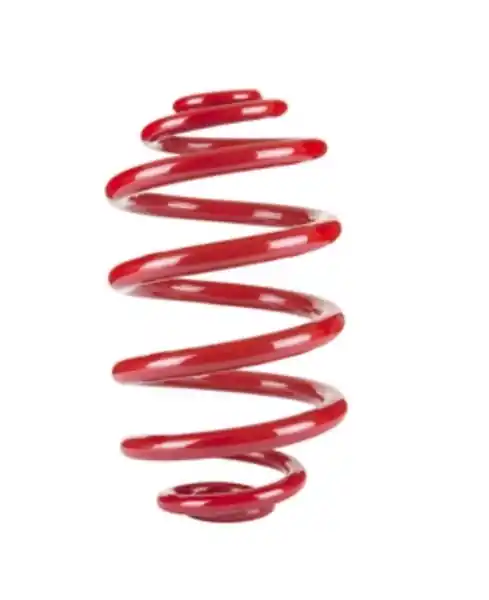 Pedders Rear Coil Spring 2006+ Hyundai Santa Fe