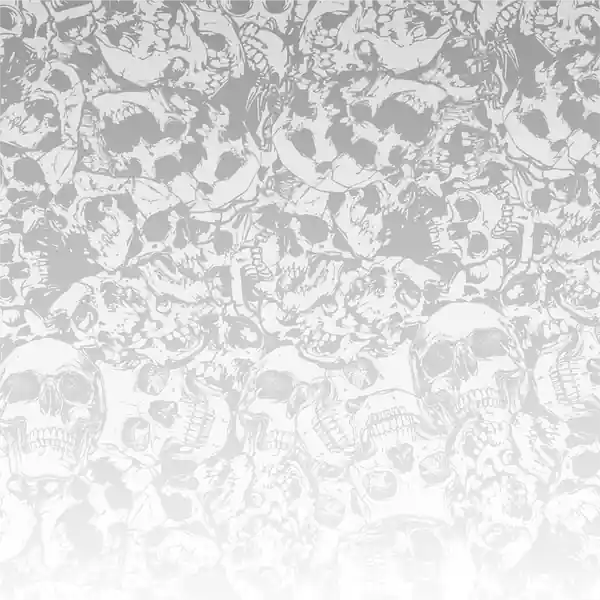 Vinyl Car Wrap Film - Skullyard (White)