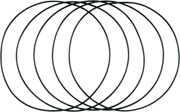 Twin Power L82-06 Big Twin Exc 06 Dyna Inner Primary O Ring Replaces H-D 11147 5 Pk
