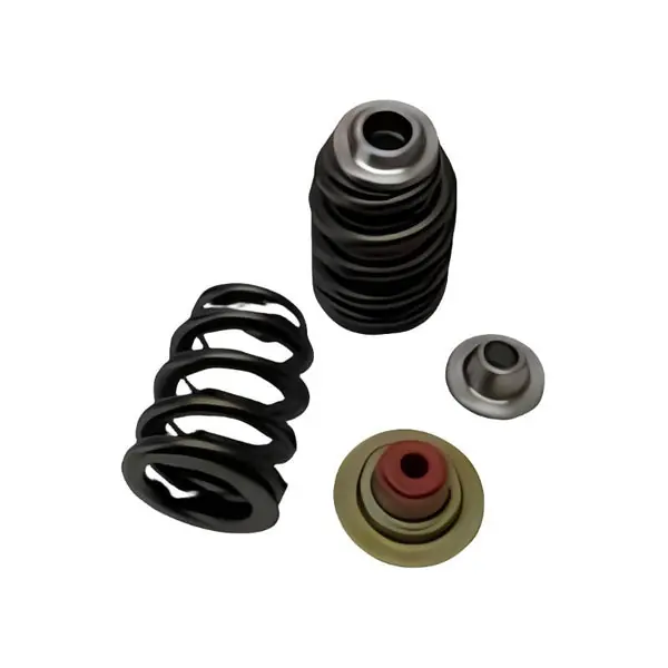 Brian Crower Can-Am X3 Rotax 900 Ace Beehive Spring/Steel Retainer/Seat w/ Seal Kit