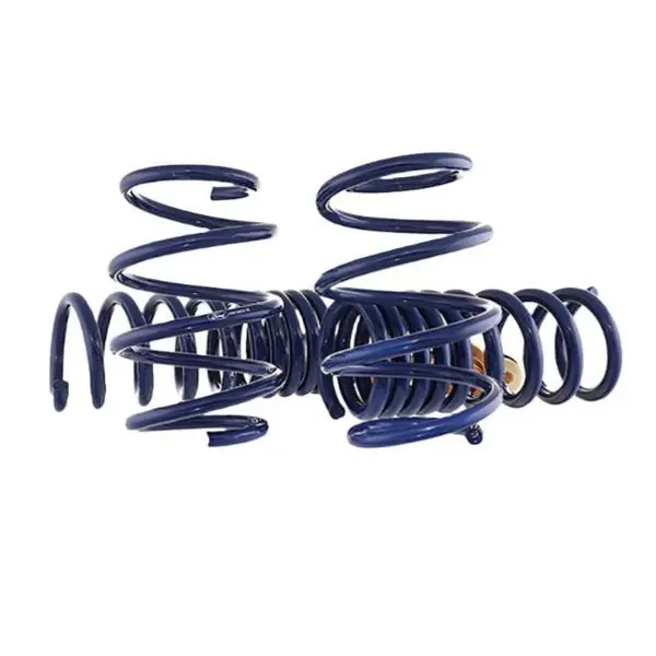 Ford Racing 2024 Mustang GT Coupe (w/Passive Suspension) Track Lowering Spring Kit