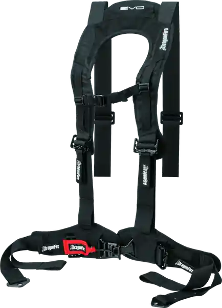 DragonFire Racing Harness Evo- Black