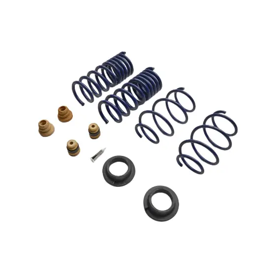 Ford Racing 15-24 Mustang Street Lowering Spring Kit