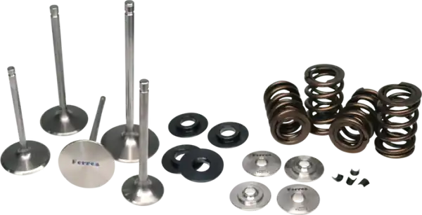 Ferrea Acura K20 Endurance Dual Spring Kit