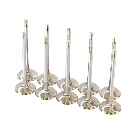 GSC P-D Audi DAZA 33.9mm Head STD 104mm Long Chrome Polished Intake Valve - Set of 10