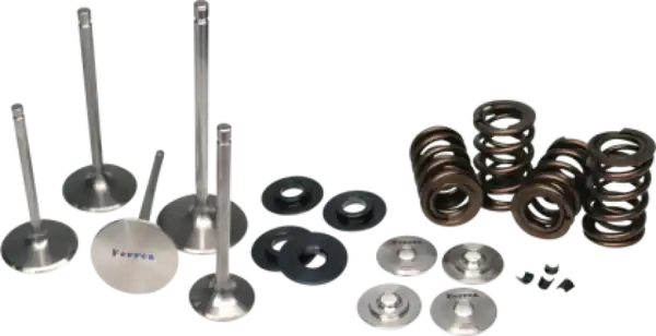 Ferrea 01-06 BMW S54 Dual Spring Kit