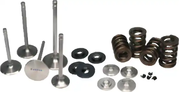 Ferrea 02-03 Harley-Davidson VRSCA V Rod Valve Spring Kit