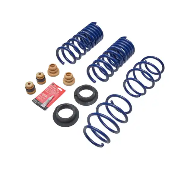 Ford Racing 2024 Mustang 2.3L Track Lowering Spring Kit