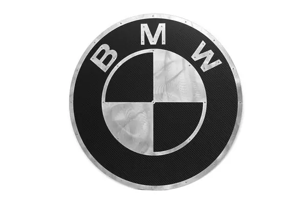 Fabspeed Carbon Fiber Wall Art - BMW