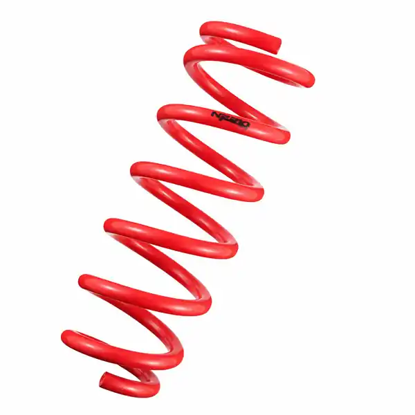 Tanabe NF210 Springs 06-07 GS300