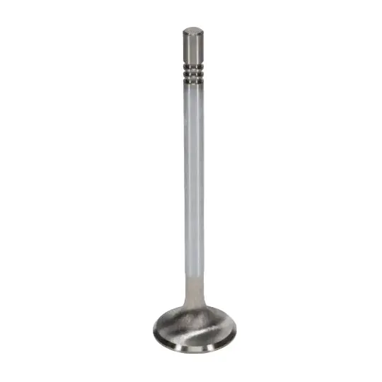 Manley Ford Modular Coyote 5.0L Gen III Race Master Series Exhaust Valve Set - 1.260in Dia