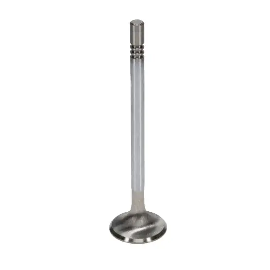 Manley Ford GT350 Voodoo 5.2L Race Master Series Intake Valve Set - 1.508in