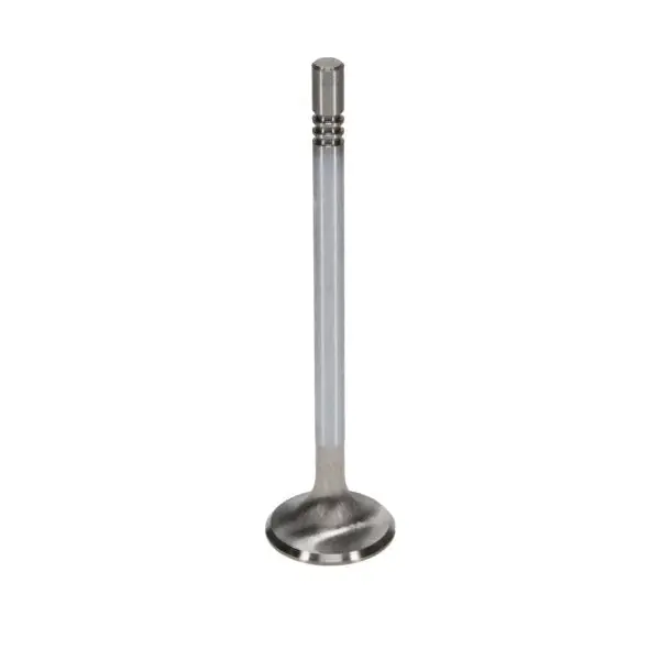 Manley Ford GT350 Voodoo 5.2L Race Master Series Exhaust Valve Set - 1.280in Dia