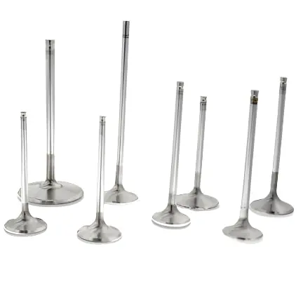 Ferrea Chevrolet LS7 2.2in 0.3135in 5.18in 10 Deg S-Flo Rad Grv Hollow Stem Intake Valve - Set of 8