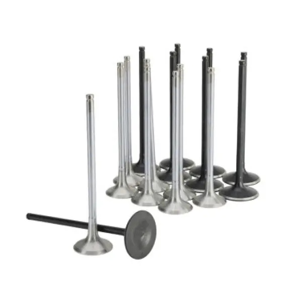 Skunk2 Honda K20C1 Alpha Series Intake & Exhaust Valve Set (Standard Compression)