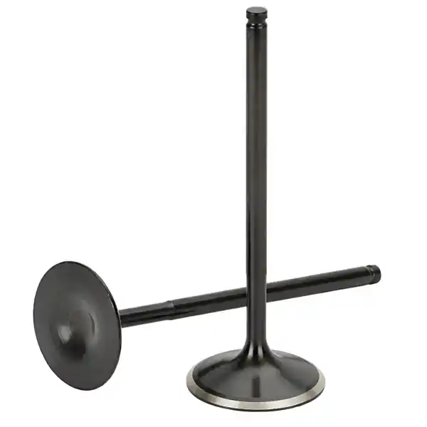 Supertech Toyota 5VZFE Black Nitrided Intake Valve - Set of 12
