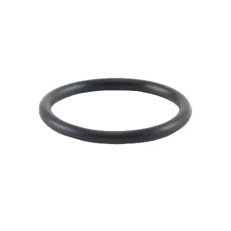 Vibrant -019 O-Ring for Oil Flanges