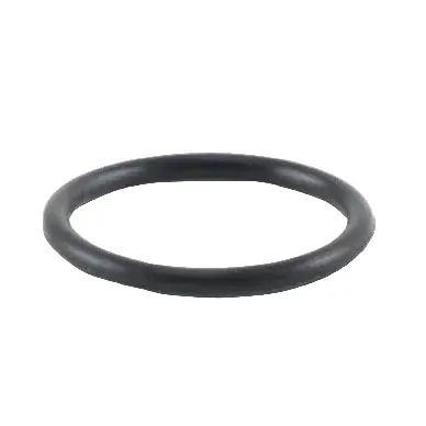 Vibrant -017 O-Ring for Oil Flanges