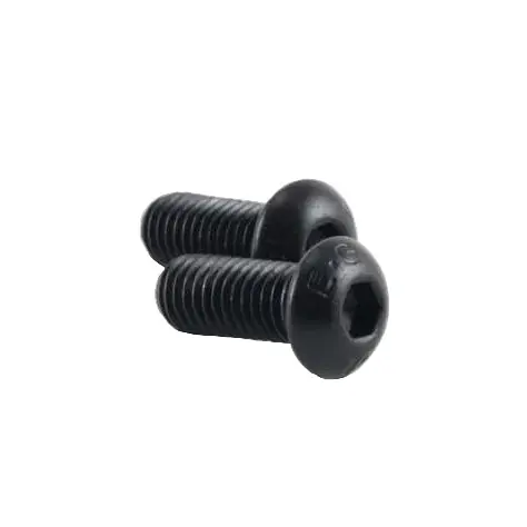 Vibrant M8 x 1.25 x 20mm Screws for Oil Flanges (Pack of 2)