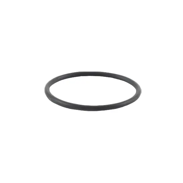 Vibrant -025 O-Ring for Oil Flanges