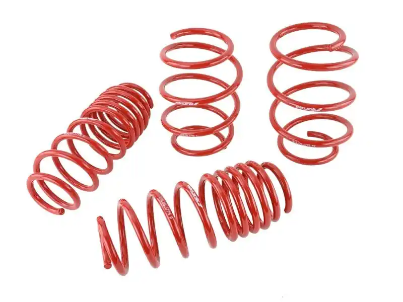Skunk2 Lowering Springs (16-21 Honda Civic) (SKK519-05-1775)
