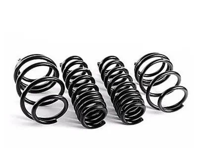 Swift Sport Springs Spec-R (EVO X)